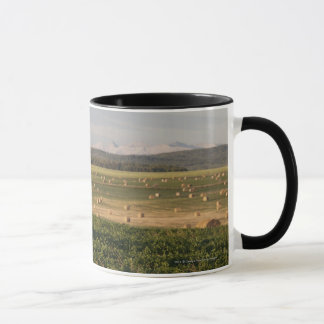 Heu-Ballen auf einem Gebiet mit Bergen am Tasse