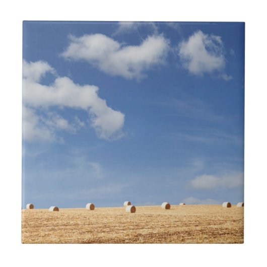 Heu-Ballen auf Feld Fliese (Vorderseite)