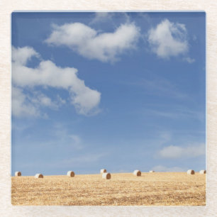 Heu-Ballen auf Feld Glasuntersetzer