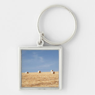 Heu-Ballen auf Feld Schlüsselanhänger