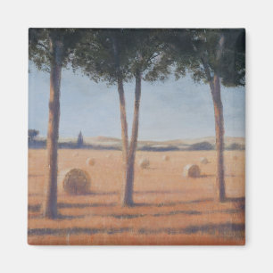 Heu-Ballen und Kiefern Pienza 2012 Magnet