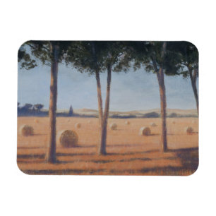 Heu-Ballen und Kiefern Pienza 2012 Magnet