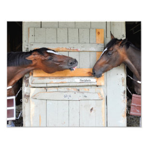 Heu dort!!! fotodruck