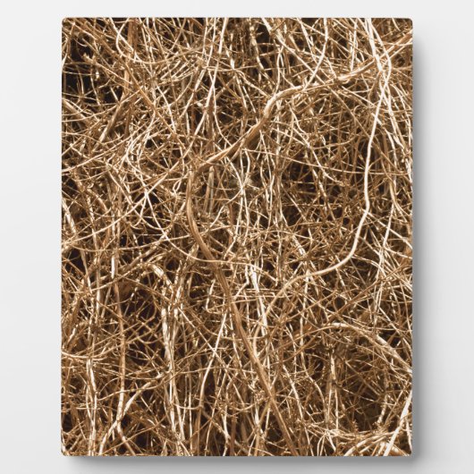 Heu Fotoplatte (Vorderseite)