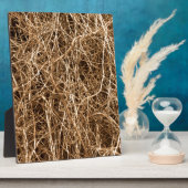 Heu Fotoplatte (Seite)