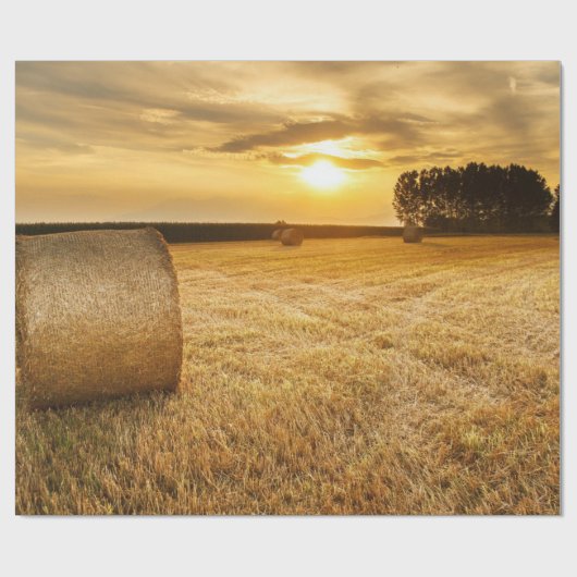Heu Geschenkpapier (Flach)
