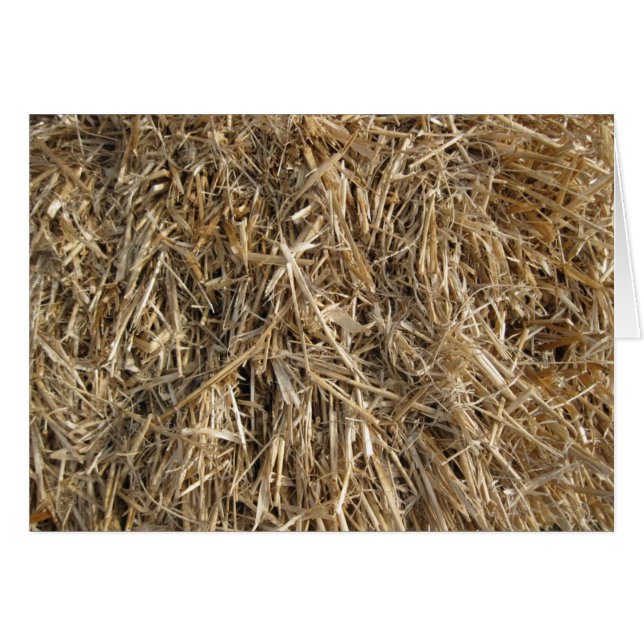 Heu! Heu! 2 (Vorderseite (Horizontal))