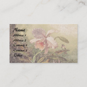 Heu Hummingbird Orchid Blume Business Card Visitenkarte