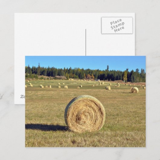 Heuballen auf der Postkarte (Vorne/Hinten)