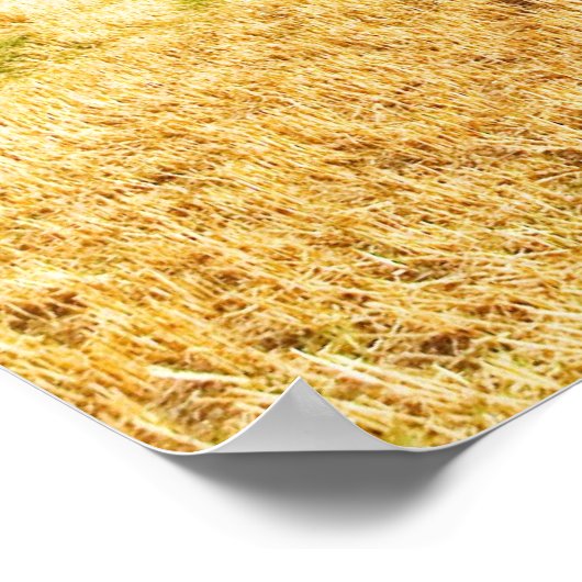 Heuballen Poster (Ecke)