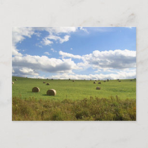 Heuballen Postkarte