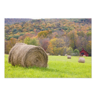 Heuballen und -Herbstlaub auf Bauernhof, Fotodruck