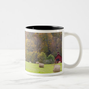 Heuballen und -Herbstlaub auf Bauernhof, Zweifarbige Tasse