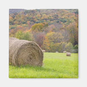 Heuballen und Herbstlaub auf dem Bauernhof, Magnet