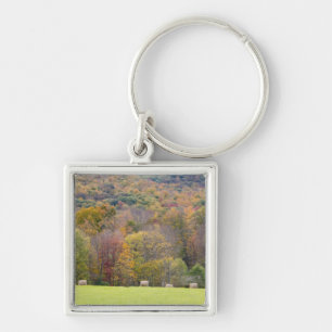 Heuballen und -Herbstlaub, auf einem Bauernhof Schlüsselanhänger