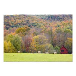 Heuballen und Herbstlaub, auf einer Farm in Fotodruck