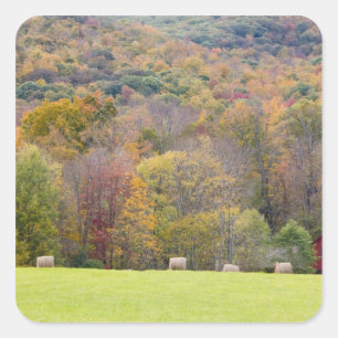Heuballen und Herbstlaub auf einer Farm in Quadratischer Aufkleber