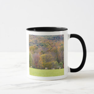 Heuballen und Herbstlaub auf einer Farm in Tasse