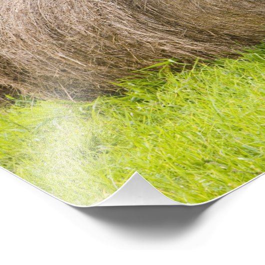 Heuballen und Laubbäume im Betrieb, Fotodruck (Ecke)