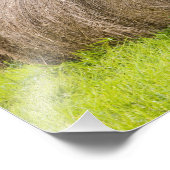 Heuballen und Laubbäume im Betrieb, Fotodruck (Ecke)