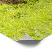 Heuballen und Laubbäume im Betrieb, Poster (Ecke)