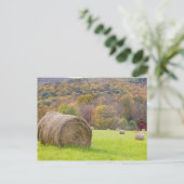 Heuballen und Laubbäume im Betrieb, Postkarte (Stehend Vorderseite)