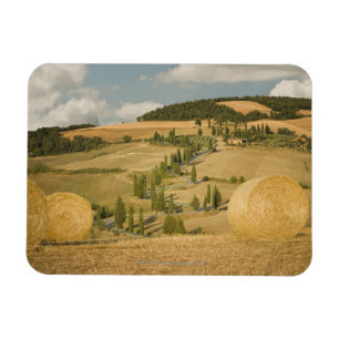 Heuballen und -rollen gestaltet, Toskana, Italien Magnet