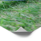 Heublase Poster (Ecke)