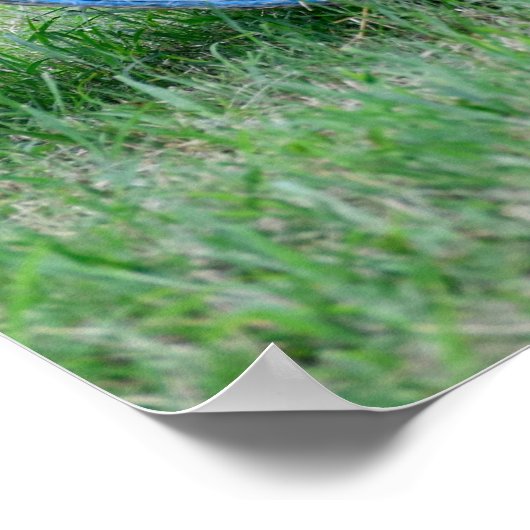 Heublase Poster (Ecke)