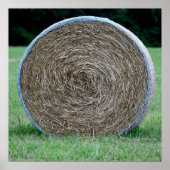 Heublase Poster (Vorne)