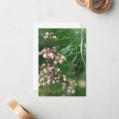 Heuchera-Blume Mitteilungskarte (Vorderseite/Rückseite Beispiel)