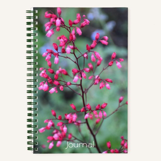 Heuchera Coral Bells Floral Notizblock (Vorderseite)