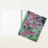 Heuchera Coral Bells Floral Planer (Anzeige)