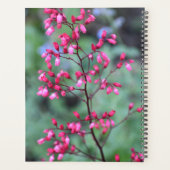 Heuchera Coral Bells Floral Planer (Rückseite)