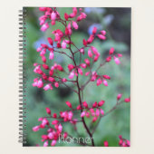 Heuchera Coral Bells Floral Planer (Vorderseite)