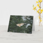 Heuhu fliegt im Schnee Karte (Gelbe Blume)