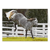 Heulen (Vorderseite (Horizontal))