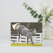 Heulen Postkarte (Stehend Vorderseite)