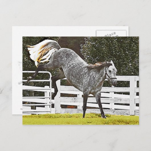 Heulen Postkarte (Vorne/Hinten)