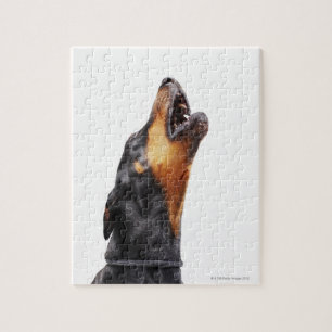 Heulender Dobermann Puzzle