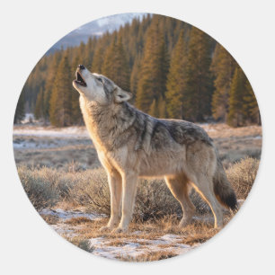 Heulender Grauwolf in wilder Szene Runder Aufkleber
