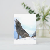 Heulender Wolf im Schnee Postkarte (Stehend Vorderseite)