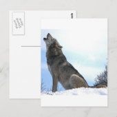Heulender Wolf im Schnee Postkarte (Vorne/Hinten)