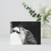 Heulender Wolf Postkarte (Stehend Vorderseite)