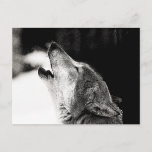 Heulender Wolf Postkarte