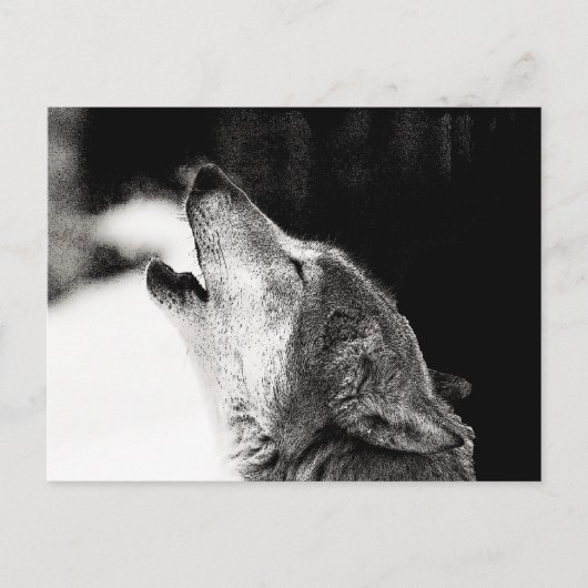 Heulender Wolf Postkarte (Vorderseite)