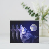Heulender Wolf Postkarte (Stehend Vorderseite)