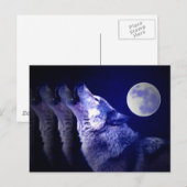 Heulender Wolf Postkarte (Vorne/Hinten)