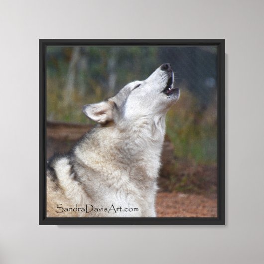 Heulendes Profil Canvas Leinwanddruck (Vorderseite)