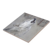 Heulengrauer Wolf Fliese (Seite)